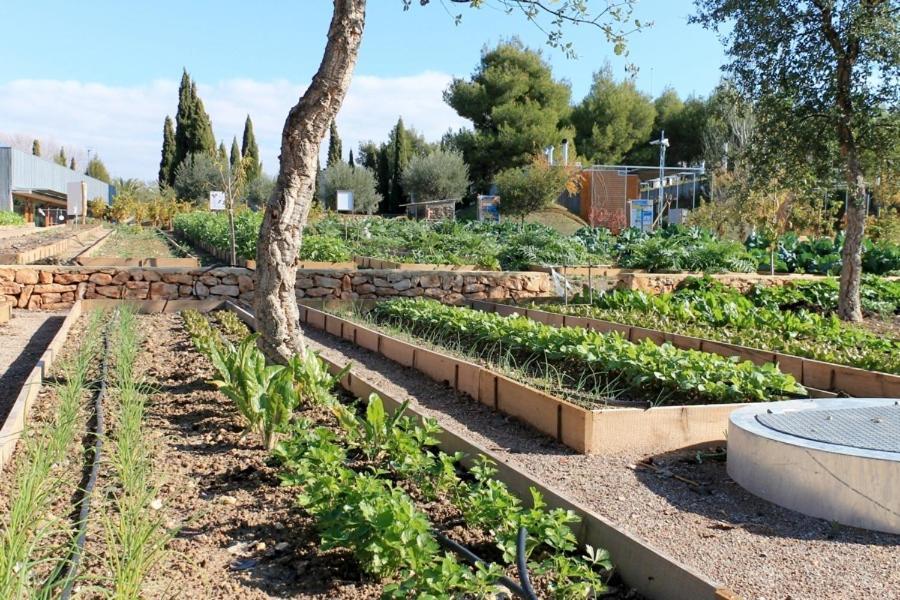 Centro De Agroecologia Y Medio Ambiente De Murcia Bullas Exteriör bild