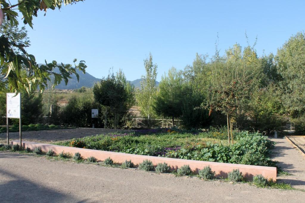 Centro De Agroecologia Y Medio Ambiente De Murcia Bullas Rum bild