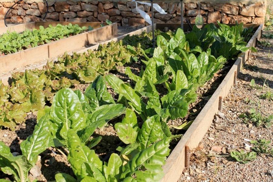 Centro De Agroecologia Y Medio Ambiente De Murcia Bullas Exteriör bild