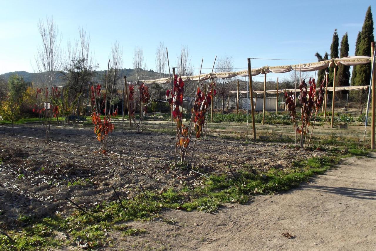 Centro De Agroecologia Y Medio Ambiente De Murcia Bullas Exteriör bild