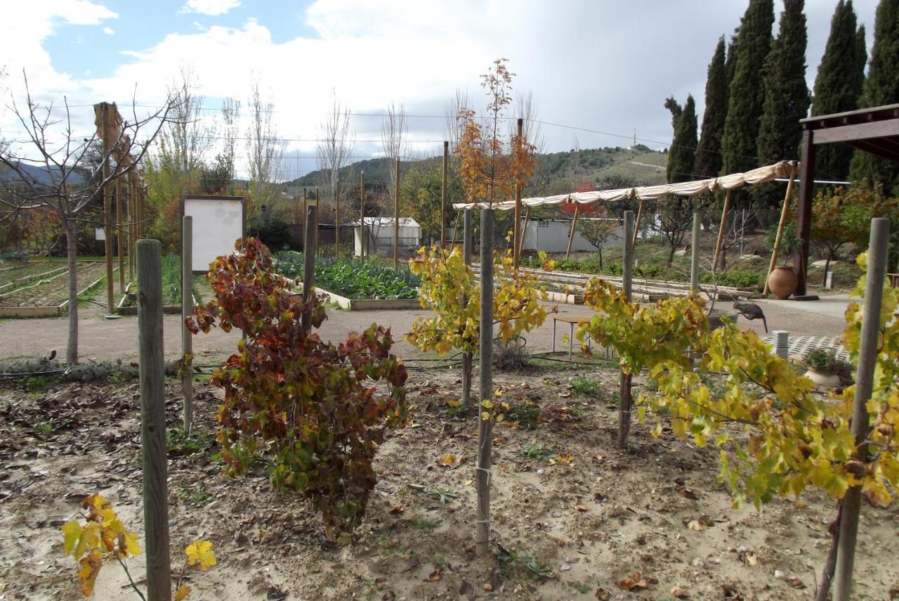 Centro De Agroecologia Y Medio Ambiente De Murcia Bullas Exteriör bild