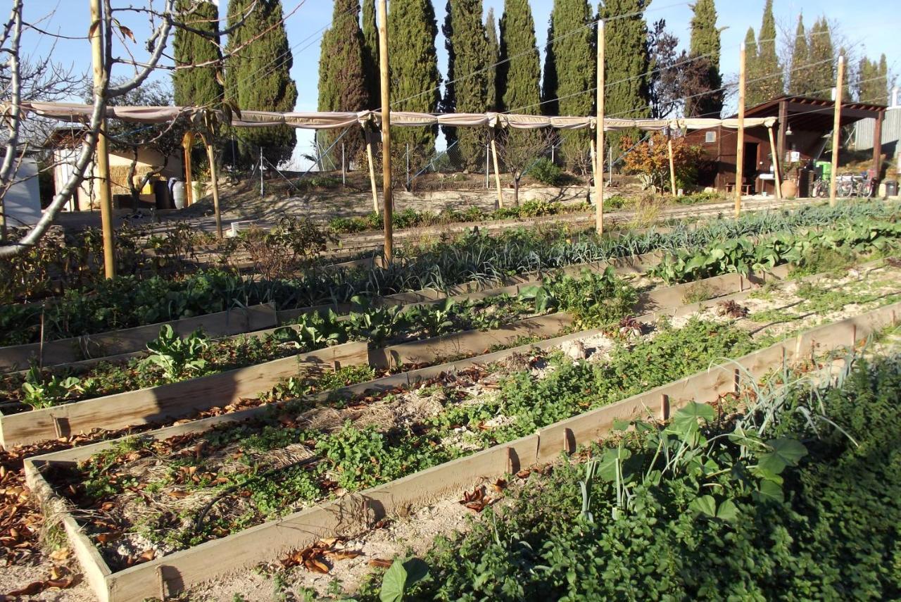 Centro De Agroecologia Y Medio Ambiente De Murcia Bullas Exteriör bild